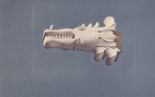 Gargoyle/Gutter Spout, 1935/1942. Creator: Rosamond P Gray