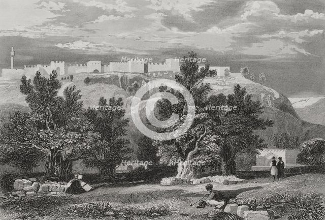 Garden of Olives, Jerusalem, 1840. Creator: Aubert.