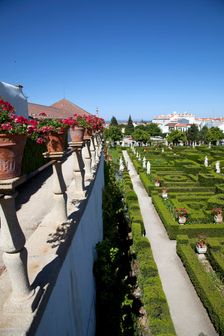 Garden of the Episcopal Palace, Castelo Branco, Portugal, 2009. Creator: Samuel Magal