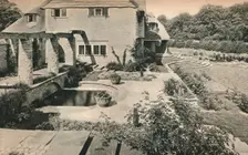 Garden of Wood House Copse, Holmbury St. Mary. Looking East c1926. Artists: Oliver Falvey Hill, Unknown