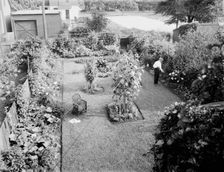 Garden at 124 E. Euclid Avenue, Detroit, Mich., between 1905 and 1915. Creator: Unknown