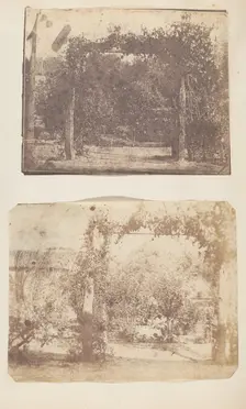 Garden at Umballa, 1850s. Creator: Unknown