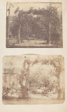 Garden at Umballa, 1850s. Creator: Unknown