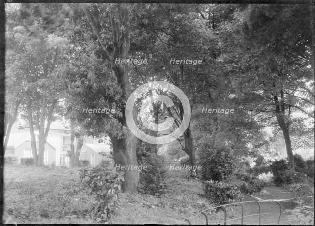 Garden, c1935. Creator: Kirk & Sons of Cowes.