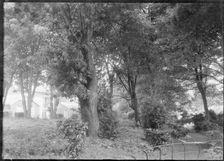 Garden, c1935. Creator: Kirk & Sons of Cowes