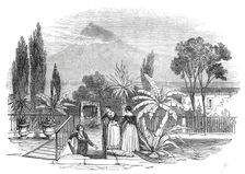 Garden in the Azores, 1845. Creator: Unknown