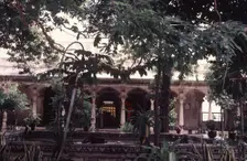 Garden, Udaipur, India, 1988. Creator: Amanda Waite
