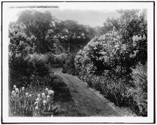 Garden walk, Sargent estate, Brookline, Mass., between 1900 and 1920. Creator: Unknown
