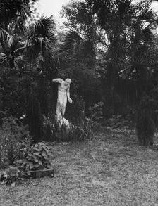 Garden with a statue, New Orleans or Charleston, South Carolina, between 1920 and 1926. Creator: Arnold Genthe