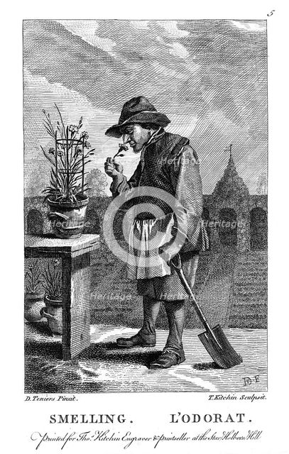 Gardener smelling a carnation or pink (Dianthus), c1750. Creator: Thomas Kitchin.