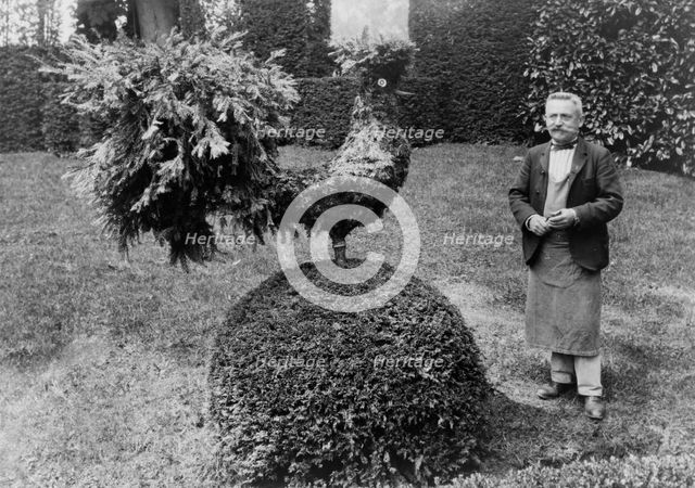 Gardener standing alongside shrub trimmed into shape of a rooster, in garden at Villa..., 1925. Creator: Frances Benjamin Johnston.