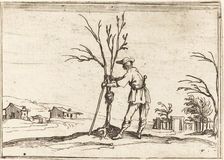 Gardener Pruning a Tree, 1628. Creator: Jacques Callot