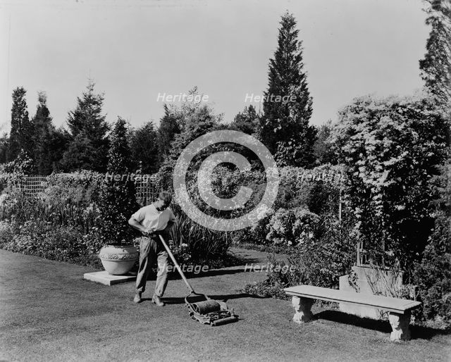 Gardener pushing lawn mower, posed to illustrate Rudyard Kipling's poem The Glory of the Garden,1917 Creator: Frances Benjamin Johnston.