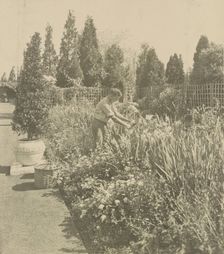 Gardener tending floral border, posed to...Rudyard Kipling's poem The Glory of the Garden, 1917. Creator: Frances Benjamin Johnston