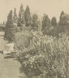 Gardener tending floral border, posed to...Rudyard Kipling's poem The Glory of the Garden, 1917. Creator: Frances Benjamin Johnston