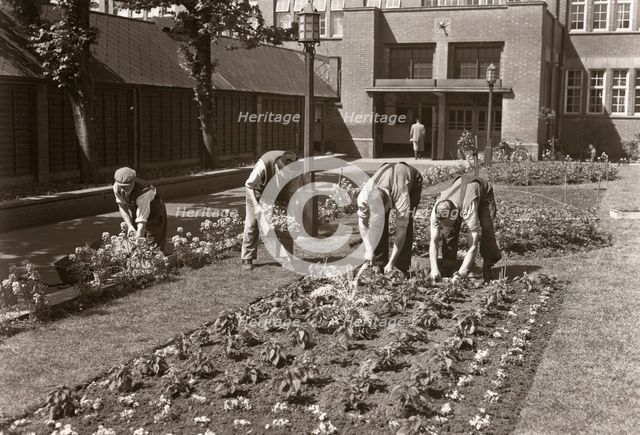 Gardeners planting a bedding display at the Rowntree factory, York, Yorkshire, 1955. Artist: Unknown