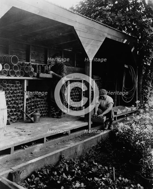 Gardeners potting plants in a shed, posed to...Rudyard Kipling's poem The Glory of the Garden, 1917. Creator: Frances Benjamin Johnston.