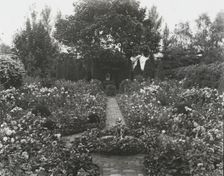 "Gardenside," Frederick Augustus Snow house, Ox Pasture Road, Southampton, New York, c1914. Creator: Frances Benjamin Johnston