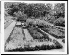 Gardens, Chestnut Hill, Brookline [sic], Mass., between 1910 and 1920. Creator: Unknown