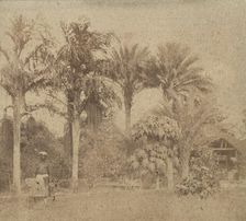 [Gardens, Government House, Allahabad], 1858. Creator: John Constantine Stanley