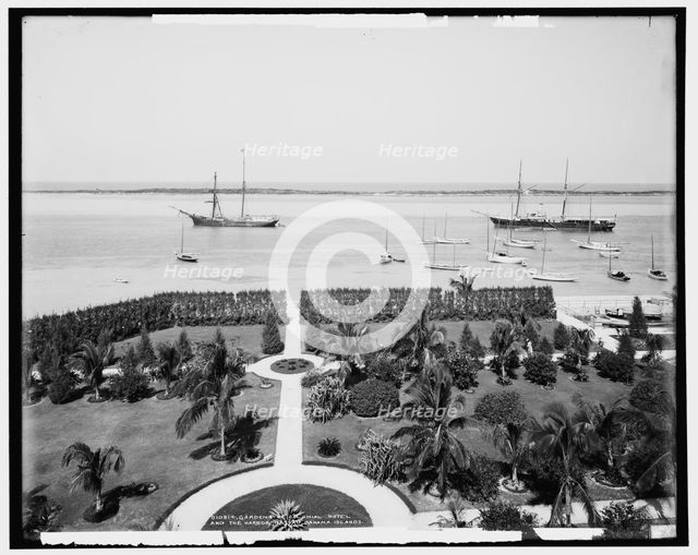 Gardens of Colonial Hotel and the harbor, Nassau, Bahama Islands, c1904. Creator: Unknown.