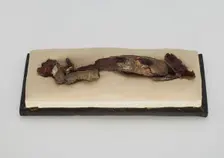 Garment hook (daigou), Eastern Zhou dynasty, 771-221 BCE. Creator: Unknown