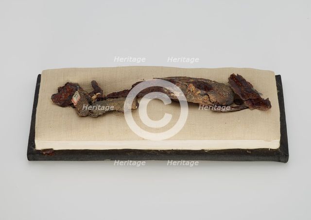 Garment hook (daigou), Eastern Zhou dynasty, 771-221 BCE. Creator: Unknown.