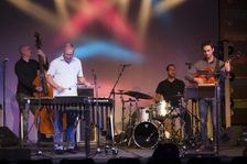 Gary Burton, 2013. Artist: Alan John Ainsworth