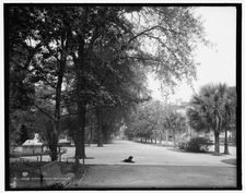 Gaston Street, Savannah, Ga., c1907. Creator: Unknown