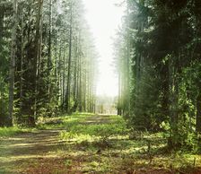 Gethsemane Monastery in Nil's Hermitage, 1910. Creator: Sergey Mikhaylovich Prokudin-Gorsky