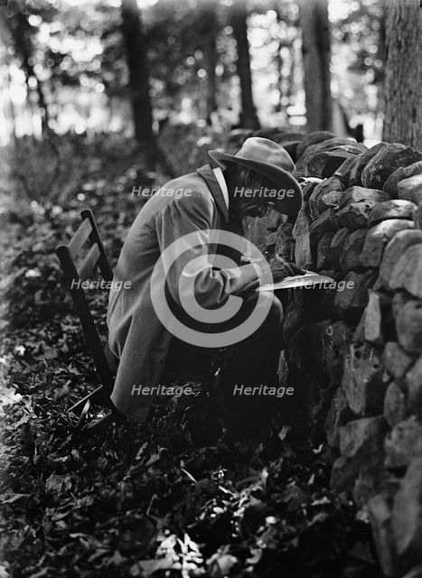 Gettysburg Reunion: G.A.R. & U.C.V., 1913. Creator: Harris & Ewing.