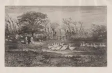 Geese, 1860-98. Creator: Felix Hilaire Buhot
