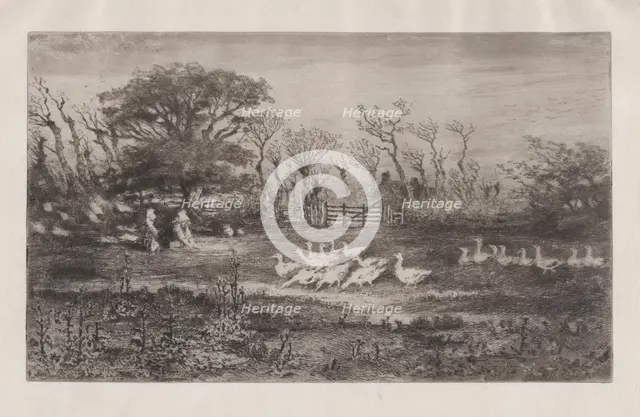Geese, 1860-98. Creator: Felix Hilaire Buhot.