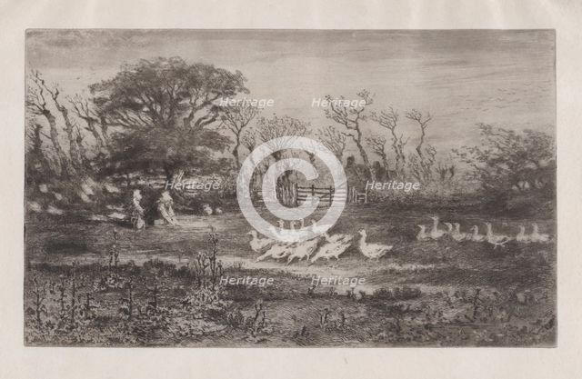 Geese, 1860-98. Creator: Felix Hilaire Buhot.