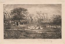 Geese , 1887. Creator: Félix Hilaire Buhot (French, 1847-1898)