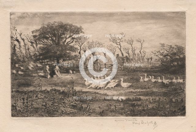 Geese , 1887. Creator: Félix Hilaire Buhot (French, 1847-1898).