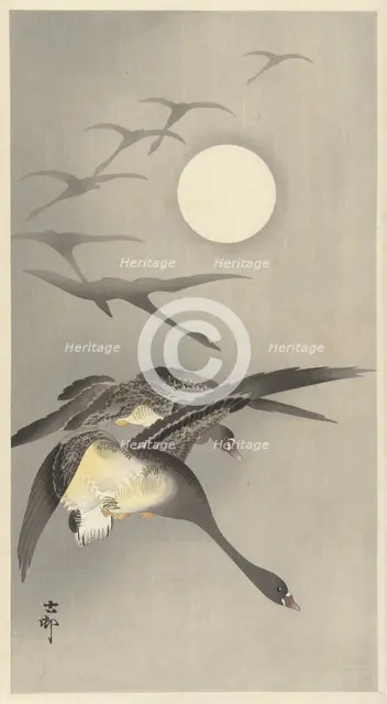 Geese at full moon. Creator: Ohara, Koson (1877-1945).