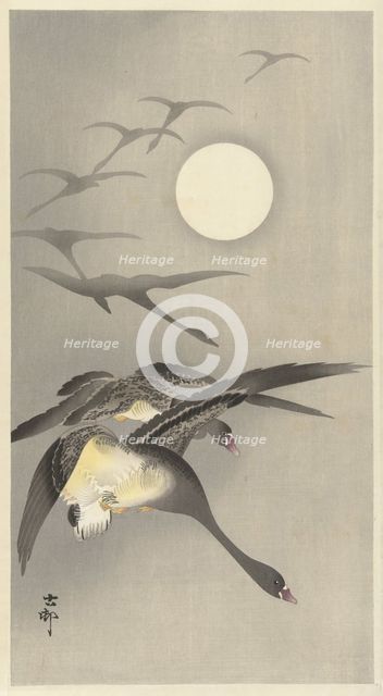 Geese at full moon. Creator: Ohara, Koson (1877-1945).