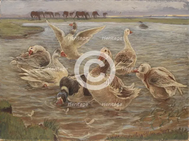 Geese on the Island of Saltholm, 1897. Creator: Theodor Esbern Philipsen.
