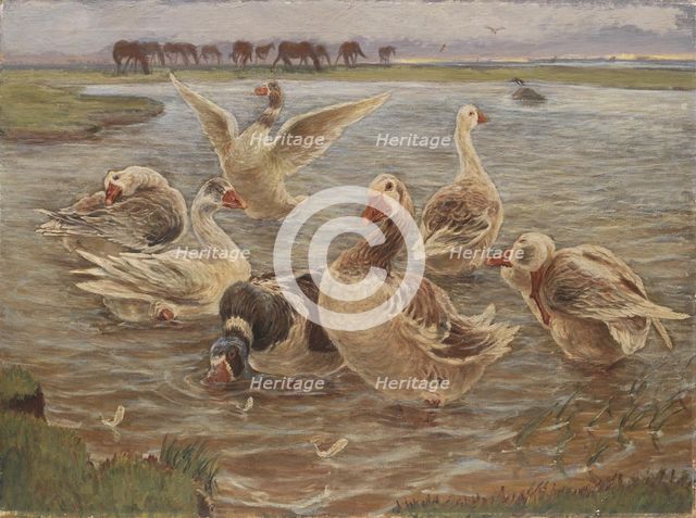 Geese on the Island of Saltholm, 1897. Creator: Theodor Esbern Philipsen.