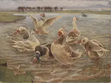 Geese on the Island of Saltholm, 1897. Creator: Theodor Esbern Philipsen