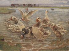 Geese on the Island of Saltholm, 1897. Creator: Theodor Esbern Philipsen
