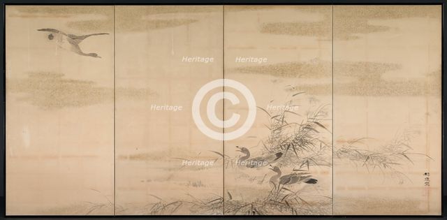 Geese, Reeds, and Water, 1800s. Creator: Yamamoto Baiitsu (Japanese, 1783-1856).