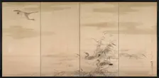 Geese, Reeds, and Water, 1800s. Creator: Yamamoto Baiitsu (Japanese, 1783-1856)