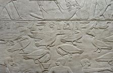 Geese relief, Mastaba of Kagemni, Saqqara, Egypt, Old Kingdom, 6th Dynasty, 2350 BC (2003). Creator: Unknown