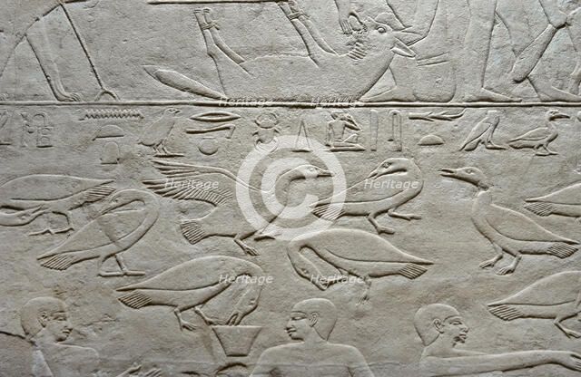 Geese relief, Mastaba of Kagemni, Saqqara, Egypt, Old Kingdom, 6th Dynasty, 2350 BC (2003). Creator: Unknown.