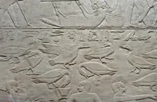 Geese relief, Mastaba of Kagemni, Saqqara, Egypt, Old Kingdom, 6th Dynasty, 2350 BC (2003). Creator: Unknown
