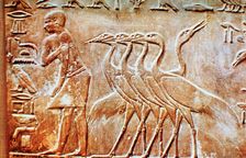 Geese, wall relief from the Tomb of Ptahhotep, Saqqara, Egypt, 24th century BC