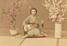 Geisha Playing Samisen, 1897. Creator: Ogawa Kazumasa