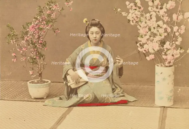 Geisha Playing Samisen, 1897. Creator: Ogawa Kazumasa.